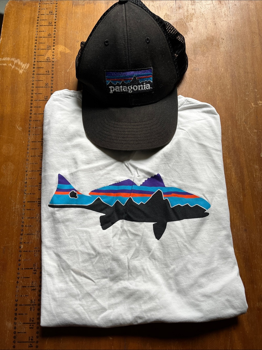 Set/2 PATAGONIA Men's L Fitz Roy Fish Tee & Hat Netplus